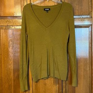 Express fitted knit v-neck